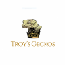 TroysGeckos