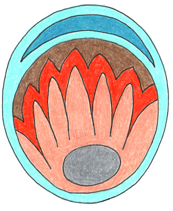 Pod Design
